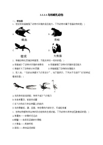 人教版（2024）三 鸟和哺乳动物课时训练