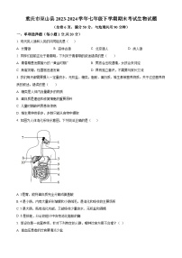 重庆市巫山县2023-2024学年七年级下学期期末生物试题