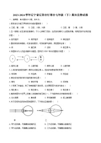 2023-2024学年辽宁省辽阳市灯塔市七年级（下）期末生物学试卷（含答案）