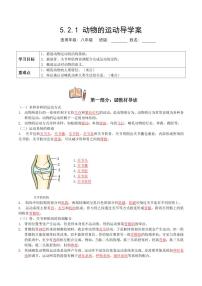 初中生物人教版 (新课标)八年级上册第一节 动物的运动导学案