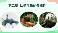 初中第二章 认识生物的多样性优质课教学课件ppt