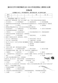 广西柳州市文华中学教育集团2022-2023学年八年级上学期期中考试生物试卷