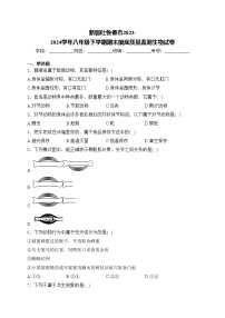 新疆吐鲁番市2023-2024学年八年级下学期期末摸底质量监测生物试卷(含答案)