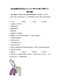 [生物][期末]四川省绵阳市安州区2023-2024学年七年级下学期6月期末试题