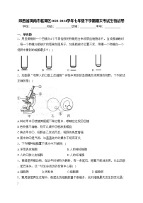 陕西省渭南市临渭区2023-2024学年七年级下学期期末考试生物试卷(含答案)