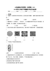 山东省烟台市蓬莱区（五四制）2023-2024学年七年级下学期期末考试生物试卷(含答案)