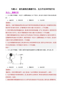 专题05  绿色植物的蒸腾作用、光合作用和呼吸作用（教师卷+学生卷）- 2024年中考生物真题分类汇编（全国通用）