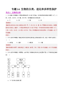 专题14  生物的分类、进化和多样性保护（教师卷+学卷）- 2024年中考生物真题分类汇编（全国通用）