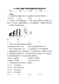 2024年秋人教版八年级开学摸底考试生物试卷A卷(含答案)