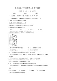 北师大版八年级生物上册期中试卷（含答案）