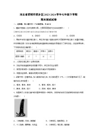 [生物][期末]河北省邯郸市肥乡区2023-2024学年七年级下学期期末测试试卷