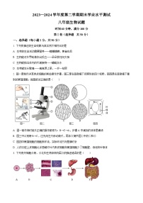 山东省济宁市嘉祥县2023-2024学年八年级下学期期末生物学试题（原卷版+解析版）