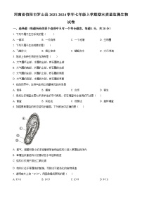 河南省信阳市罗山县2023-2024学年七年级上学期期末生物学试题（原卷版+解析版）