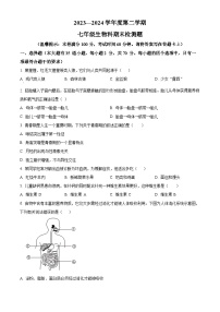 海南省海口市2023-2024学年七年级下学期期末生物学试题（原卷版+解析版）