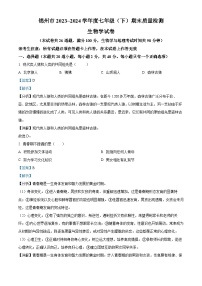 辽宁省锦州市2023-2024学年七年级下学期期末生物学试题（解析版）