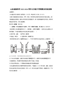 [生物][期末]山东省曲阜市2023-2024学年七年级下学期期末考试试卷