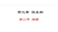初中生物人教版（2024）七年级上册第二节 细菌教学演示课件ppt