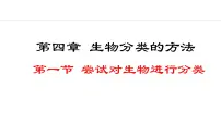 人教版（2024）七年级上册第一节 尝试对生物进行分类示范课课件ppt