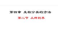 初中生物人教版（2024）七年级上册第二节 从种到界教学演示ppt课件