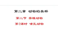 初中生物人教版（2024）七年级上册三 鸟和哺乳动物评课ppt课件