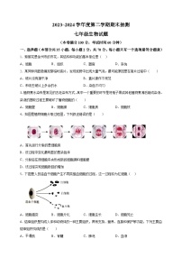 江苏省徐州市2023-2024学年七年级下学期期末生物学试题（含答案解析）