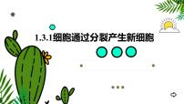 初中生物人教版 (新课标)七年级上册第一节 细胞通过分裂产生新细胞教学ppt课件