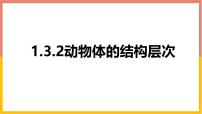 人教版 (新课标)七年级上册第二单元 生物体的结构层次第二章 细胞怎样构成生物体第二节 动物体的结构层次教学ppt课件