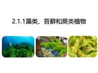 初中人教版 (新课标)第三单元 生物圈中的绿色植物第一章 生物圈中有哪些绿色植物第一节 藻类、苔藓和蕨类植物教案配套ppt课件