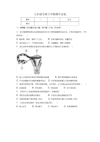 人教版七年级生物下学期期中试卷(含答案)