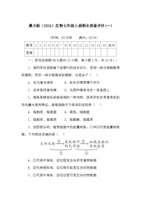 2024-2025学年冀少版生物七年级上册期末质量评价(一)+