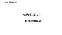 初中生物人教版（2024）七年级上册第一单元 生物和细胞第三章 从细胞到生物体综合实践项目 制作细胞模型授课ppt课件
