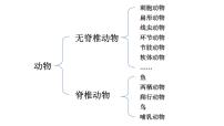 人教版（2024）一  鱼课前预习课件ppt