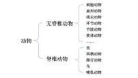 生物七年级上册三 鸟和哺乳动物教学ppt课件