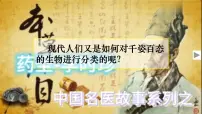人教版（2024）七年级上册第一节 尝试对生物进行分类图文ppt课件