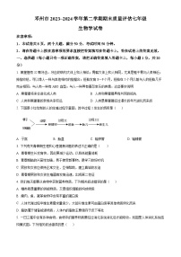 河南省南阳市邓州市2023-2024学年七年级下学期期末生物试题（原卷版+解析版）