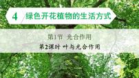 初中生物北师大版（2024）七年级上册第3单元 植物的生活第4章 绿色开花植物的生活方式第1节 光合作用教学ppt课件