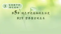 北师大版（2024）七年级上册第2节 营养器官的生长课堂教学课件ppt
