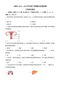 湖北省孝感市安陆市2023-2024学年七年级下学期期末生物学试题（原卷版+解析版）