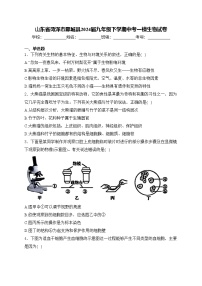 山东省菏泽市鄄城县2024届九年级下学期中考一模生物试卷(含答案)