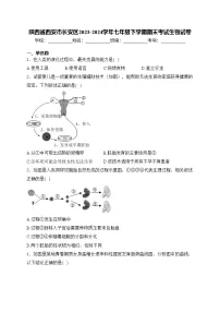 陕西省西安市长安区2023-2024学年七年级下学期期末考试生物试卷(含答案)