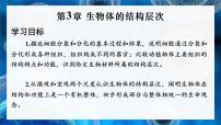 北师大版（2024）七年级上册（2024）第1节 细胞通过分裂而增值背景图课件ppt