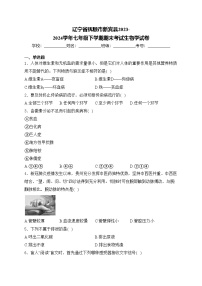 辽宁省抚顺市新宾县2023-2024学年七年级下学期期末考试生物学试卷(含答案)