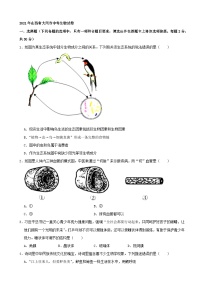 [生物]2021年山西省大同市中考真题生物试卷(word试卷(原题版+解析版)