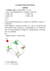 [生物]2022年辽宁省营口市中考真题生物试卷(原题版+解析版)