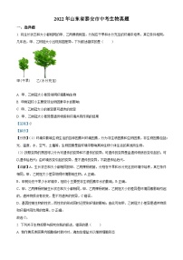 [生物]2022年山东省泰安市中考真题生物试卷(原题版+解析版)