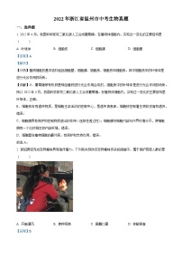[生物]2022年浙江省温州市中考真题生物试卷(原题版+解析版)