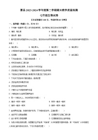 安徽省宿州市萧县2023-2024学年七年级下学期期末生物学试题（原卷版+解析版）