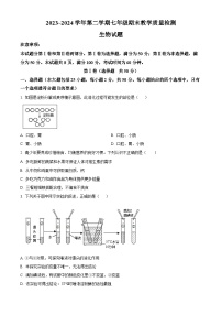 山东省济南市历下区2023-2024学年七年级下学期期末生物学试题（原卷版+解析版）