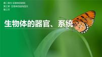 初中生物北师大版（2024）七年级上册（2024）第3节 生物体的器官、系统完美版ppt课件