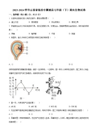 山西省临汾市翼城县2023-2024学年七年级下学期期末生物学试题（原卷版+解析版）